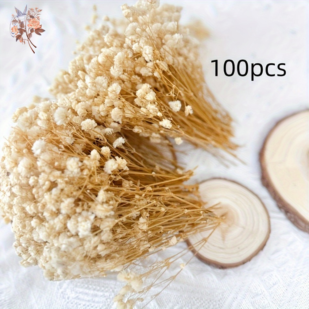 100pcs Bunga Baby's Breath Ker - Craft Embellishments ulasan dan harga