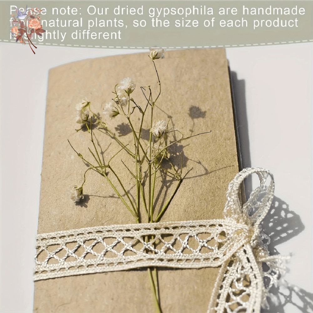 100pcs Bunga Baby's Breath Ker - Craft Embellishments ulasan dan harga